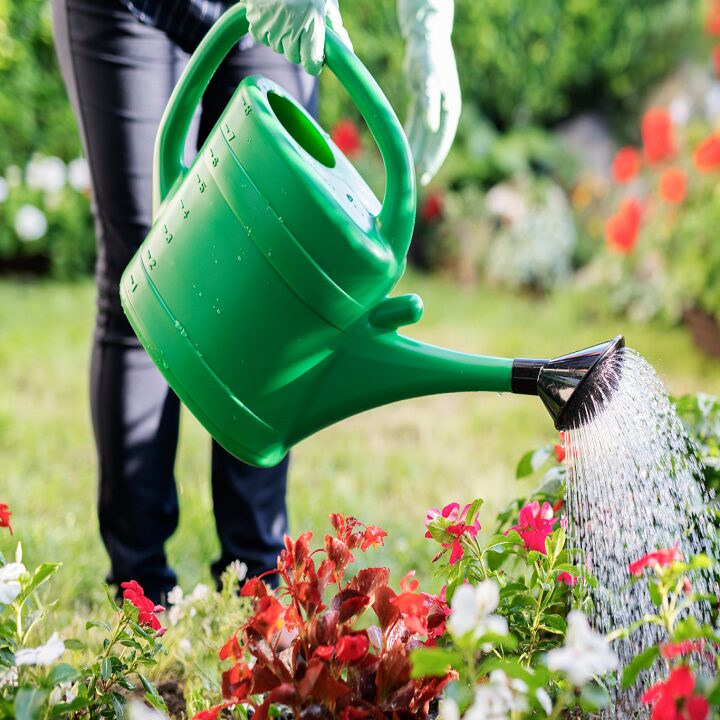 petits-travaux-utiles-jardinet petits travaux utiles jardinet